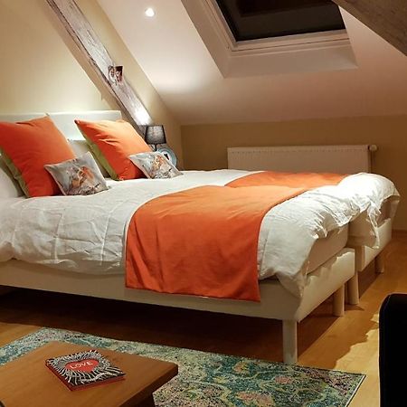 La Chouette Maison - Chambres D'Hotes Et Gite En Ville Remiremont Eksteriør bilde